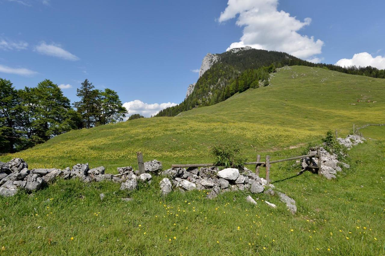 Hotel Ritzau Alm Ebbs Exterior foto