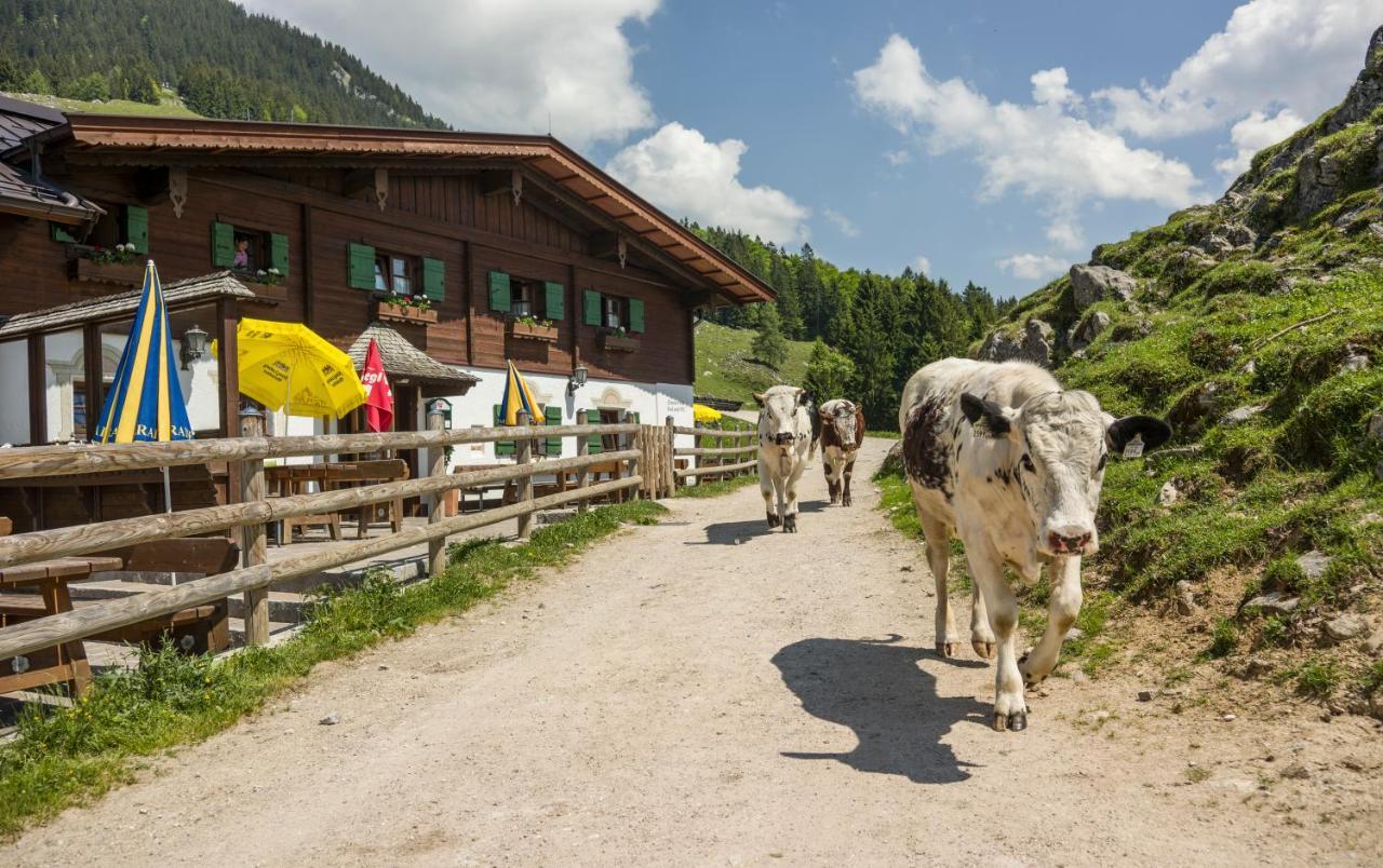 Hotel Ritzau Alm Ebbs Exterior foto